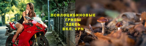 дживик Карпинск