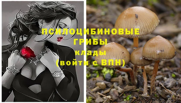 mix Касимов