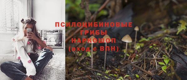 дживик Карпинск