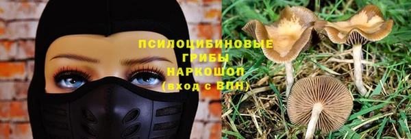 круглые Карталы