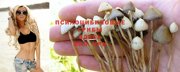 mix Касимов