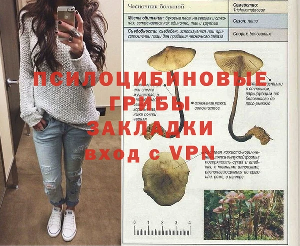 дживик Карпинск